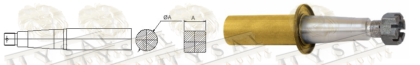 Akis (Somunlu ve Keçeli/Pullu)